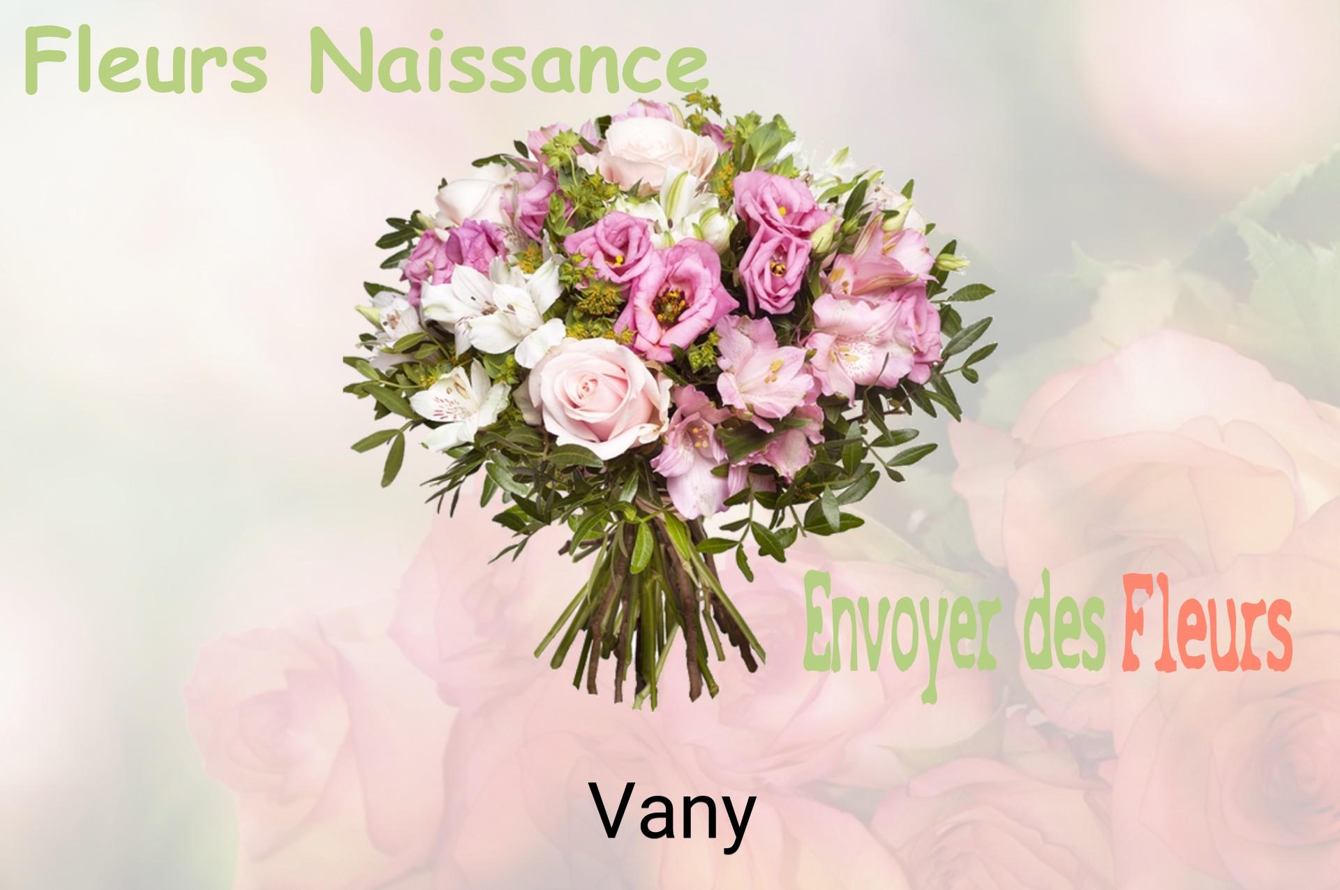 Bouquet de fleurs de naissance livré à Vany